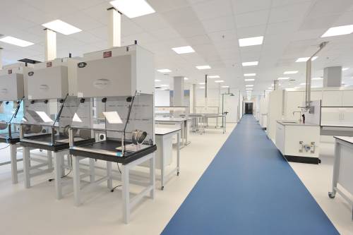 MSD Haarlem