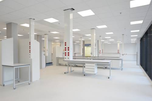 Jannsen Biologics, Leiden, The Netherlands