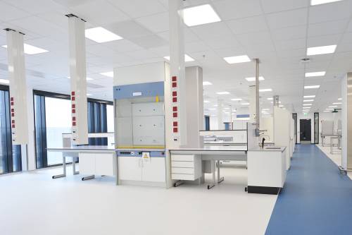 Jannsen Biologics, Leiden, The Netherlands