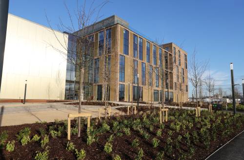 Grangegorman